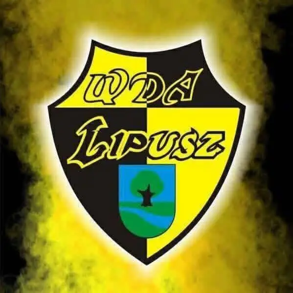 Junior C2 z Gminy Lipusz wygrywa z Bytovią Bytów 6:3